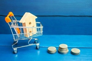 Erbschaftsteuer - Grafik von einem Einkaufswagen mit einem Modellhaus und Geldmünzen daneben