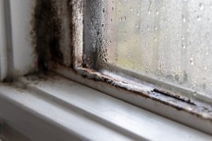 Mietminderung wegen Mängeln - Schimmel und Feuchtigkeit an altem Fensterrahmen