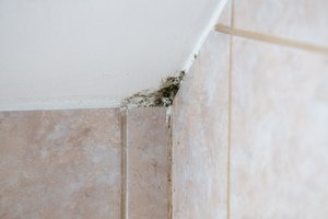 Mietminderung wegen Mängeln - Schimmel in Badezimmer-Ecke über Fliesenfuge